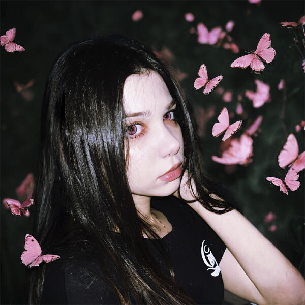 Twinky - Бабочки