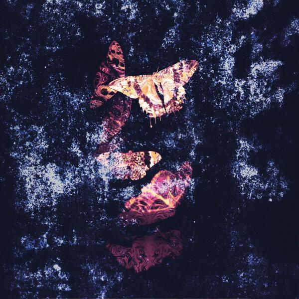 Discofade - Ничего не бойся