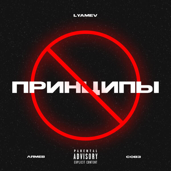 Лямев, Совз, Lyamev - ПРИНЦИПЫ