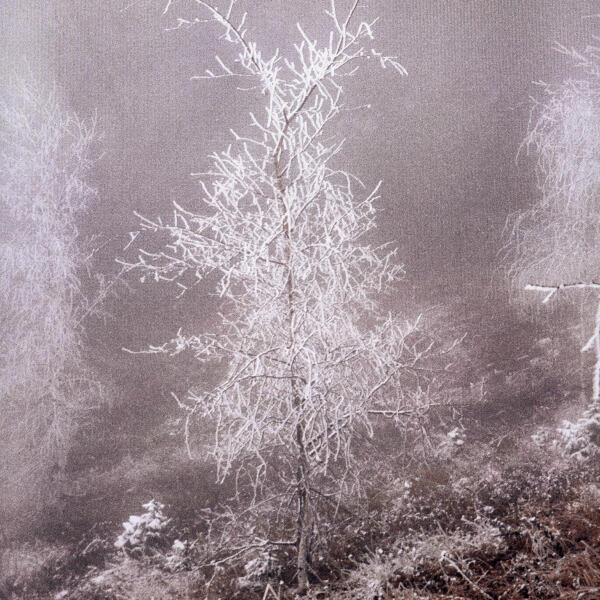 PROOVY - вечная петля