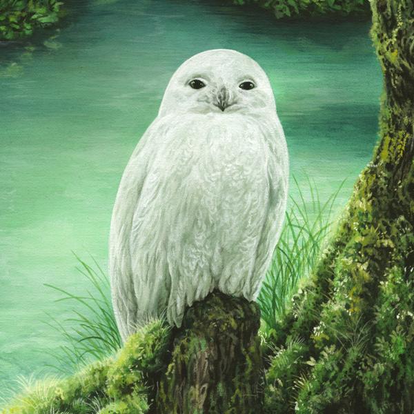 Moglii - White Owl