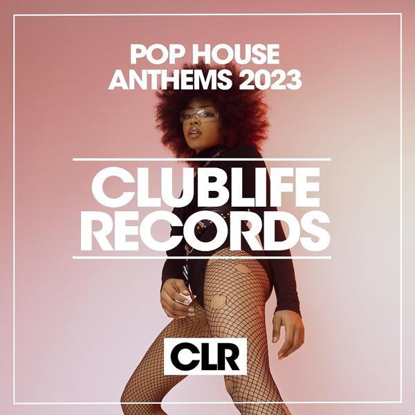 Vintage Grooves - Pop House Anthems 2023